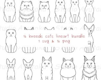 16 breeds cats sitting front lineart, svg, png, illustration, digital drawing, handmade