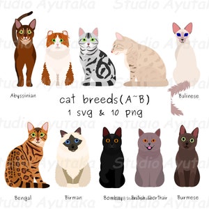 cat breeds(A~B), svg, png, illustration, digital drawing, handmade