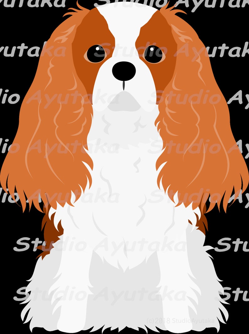 Cavalier dog color variations bundle, png, pdf, ai 画像 3