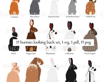 15 Hasen, die zurückblicken – Clipart-Set, svg, pdf, png, handgezeichnete digitale Illustrationen