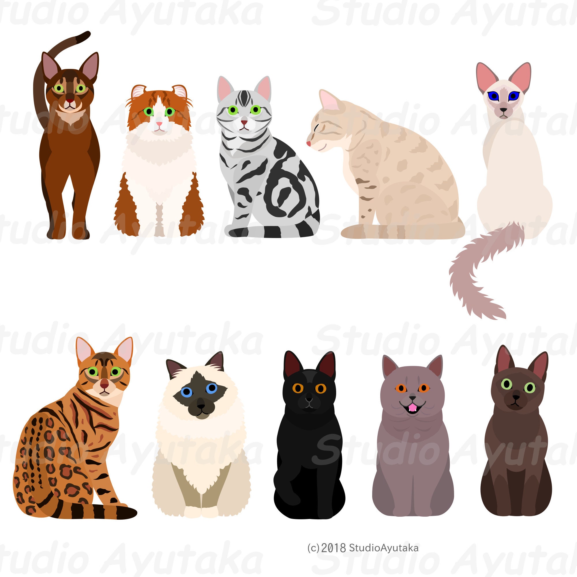 cats breeds , svg, png, jpg, 16*20