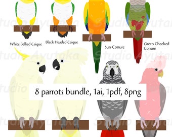 8 pet Parrot birds bundle, ai, pdf, png