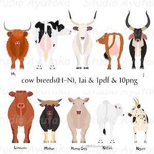 cow breed H~N bundle,  ai, pdf, png