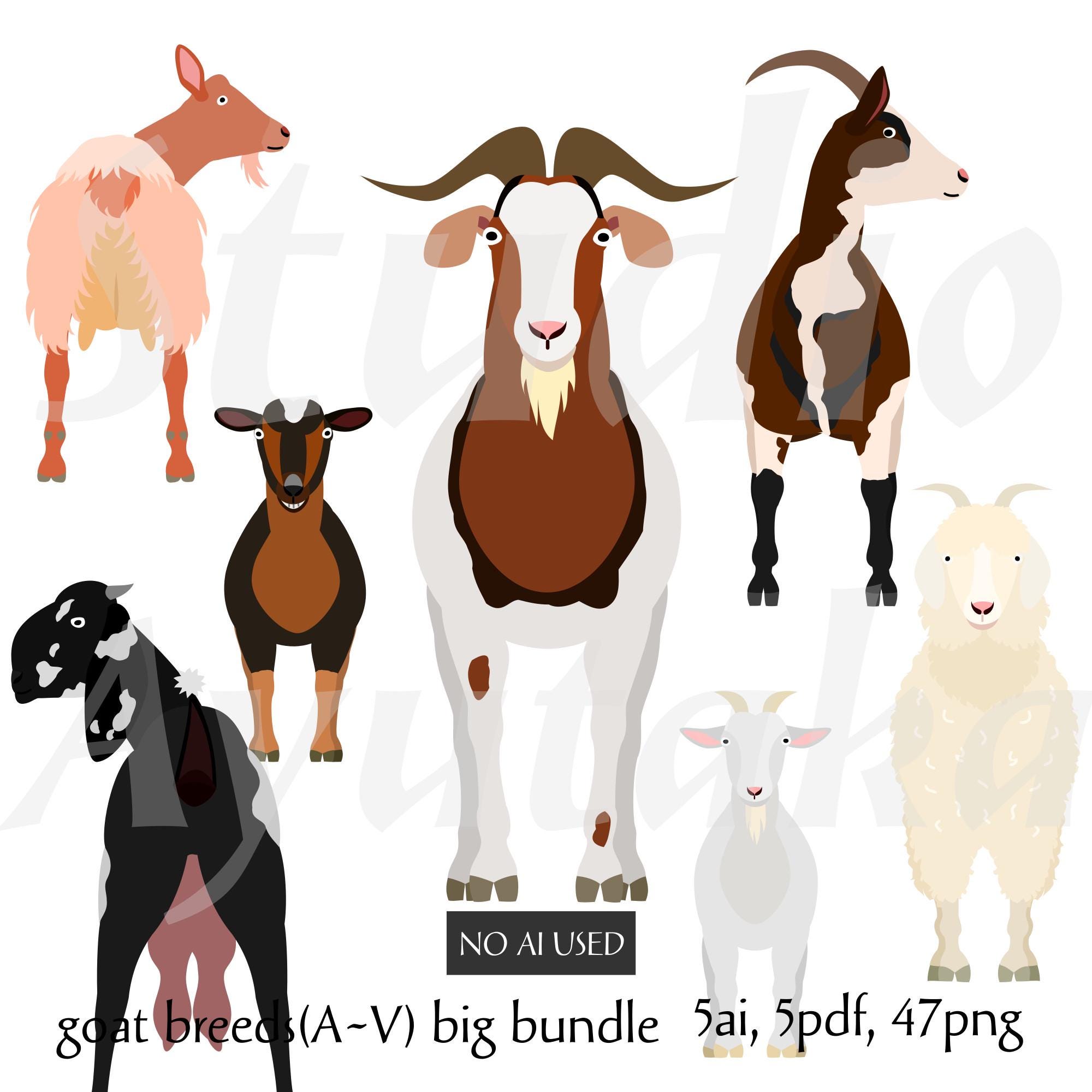 V Goat まとめ売り Bundle of 47 Breeds Goats Cliparts - Hand-drawn Digital Art, Png