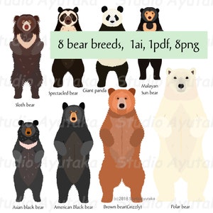 Lot de 8 races d’ours, png, ai, pdf, illustration, dessin numérique, fait main