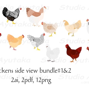 poulet côté vue bundle couleur#1&2, 2ai, 2pdf, 12png, illustration, dessin numérique, fait main