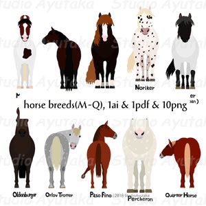 horse breed M~Q bundle,  ai, pdf, png