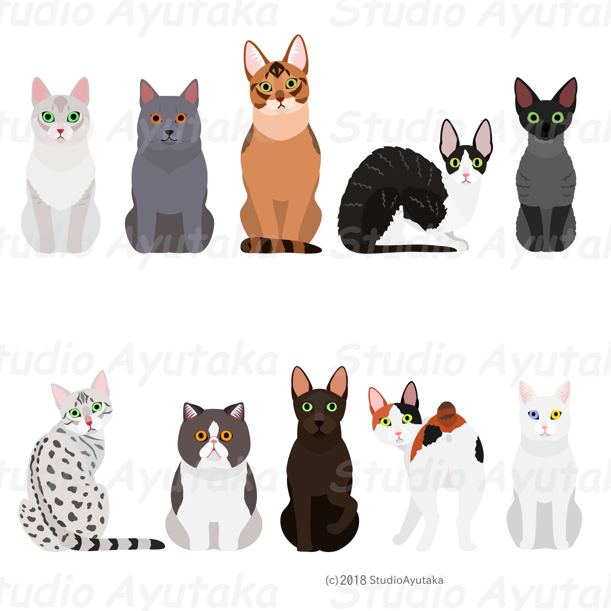 cats breeds , svg, png, jpg, 16*20