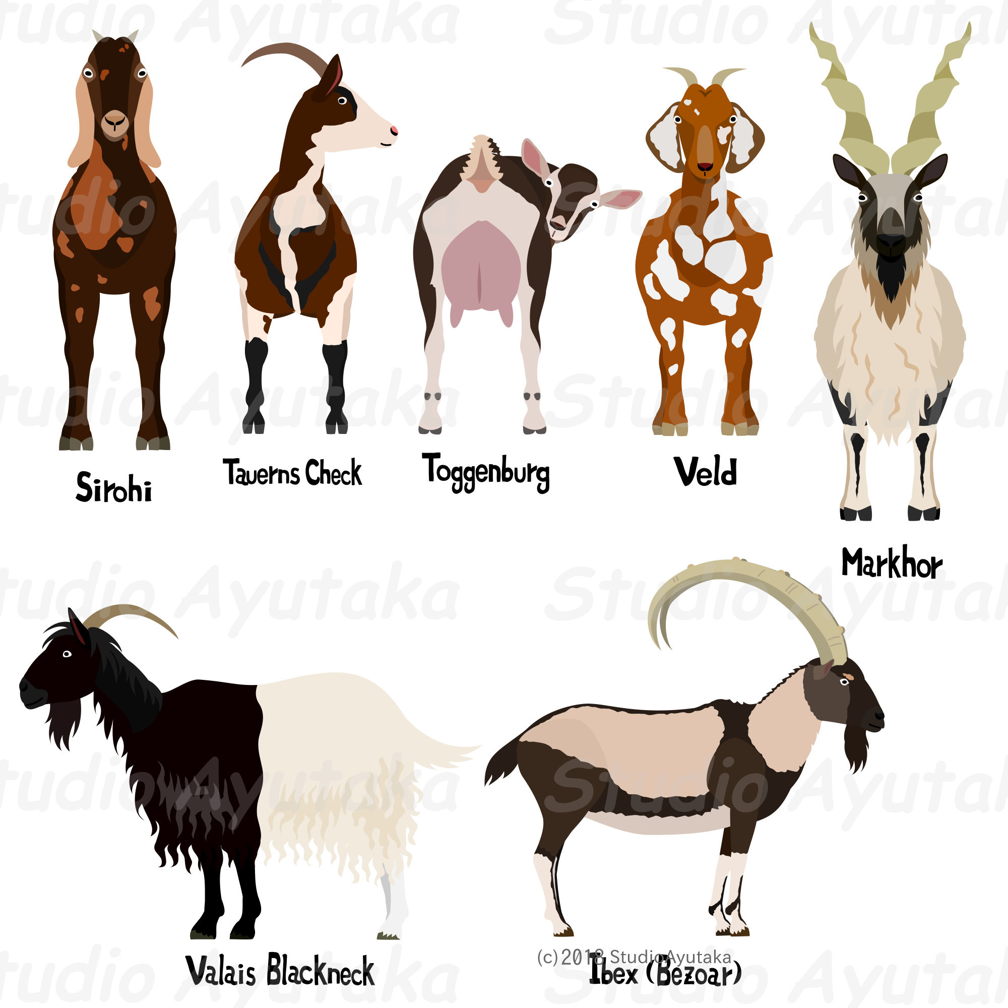 Goat Breeds SV & Wild Breeds Bundle Ai Pdf Png Etsy