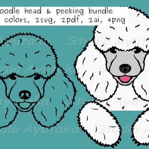 Poodle peeking and head bundle, line art, with and without colors, svg, png, ai, pdf, illustration, digital drawing,handmade