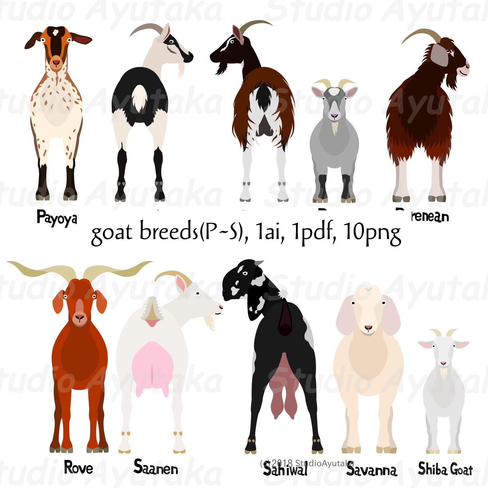 Goat Breeds PS Bundle Ai Pdf Png - Etsy