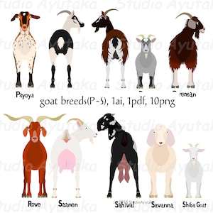 Goat Breeds P~S Bundle, Ai, Pdf, Png - Etsy