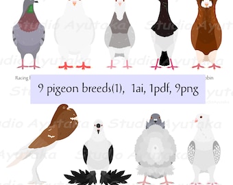 9 pigeon breeds bundle(1), png, ai, pdf