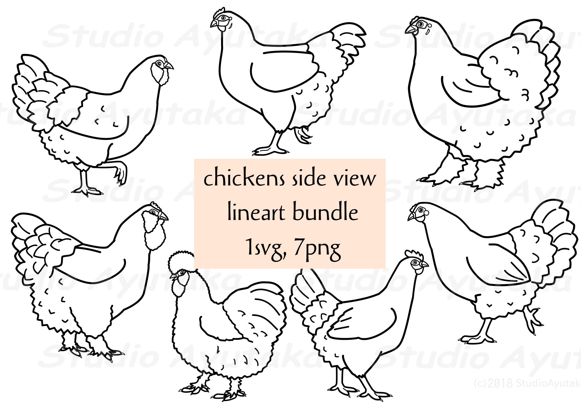 chickenページ il_fullxfull.6307401462_b6wt.jpg