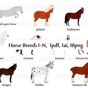 horse breed I~N bundle,  ai, pdf, png