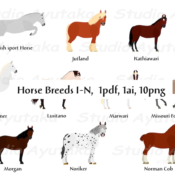 horse breed I~N bundle,  ai, pdf, png