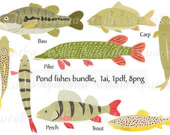 Teich- und Flussfische-Bundle, ai, pdf, png, Illustration, digitale Zeichnung, handgefertigt