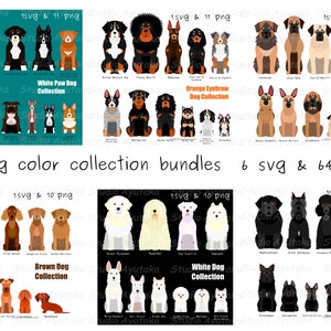 Großes Bündel Hundefarbkollektion, 6 Farbkollektionen mit 64 Hunden, SVG, PNG, Illustration, digitale Zeichnung, handgefertigt