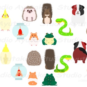 10 home pet animals front & back bundle, png, ai, pdf 画像 2