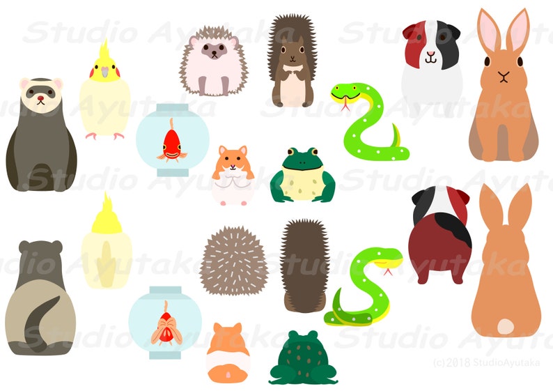 10 home pet animals front & back bundle, png, ai, pdf 画像 2