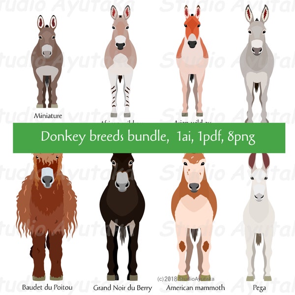 donkey breeds bundle, png, ai, pdf