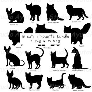 Paquete de siluetas de 15 gatos, svg, png, ilustración, dibujo digital, hecho a mano