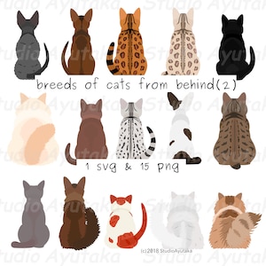 15 razas de gatos por detrás(2), svg, png, ilustración, dibujo digital, hecho a mano