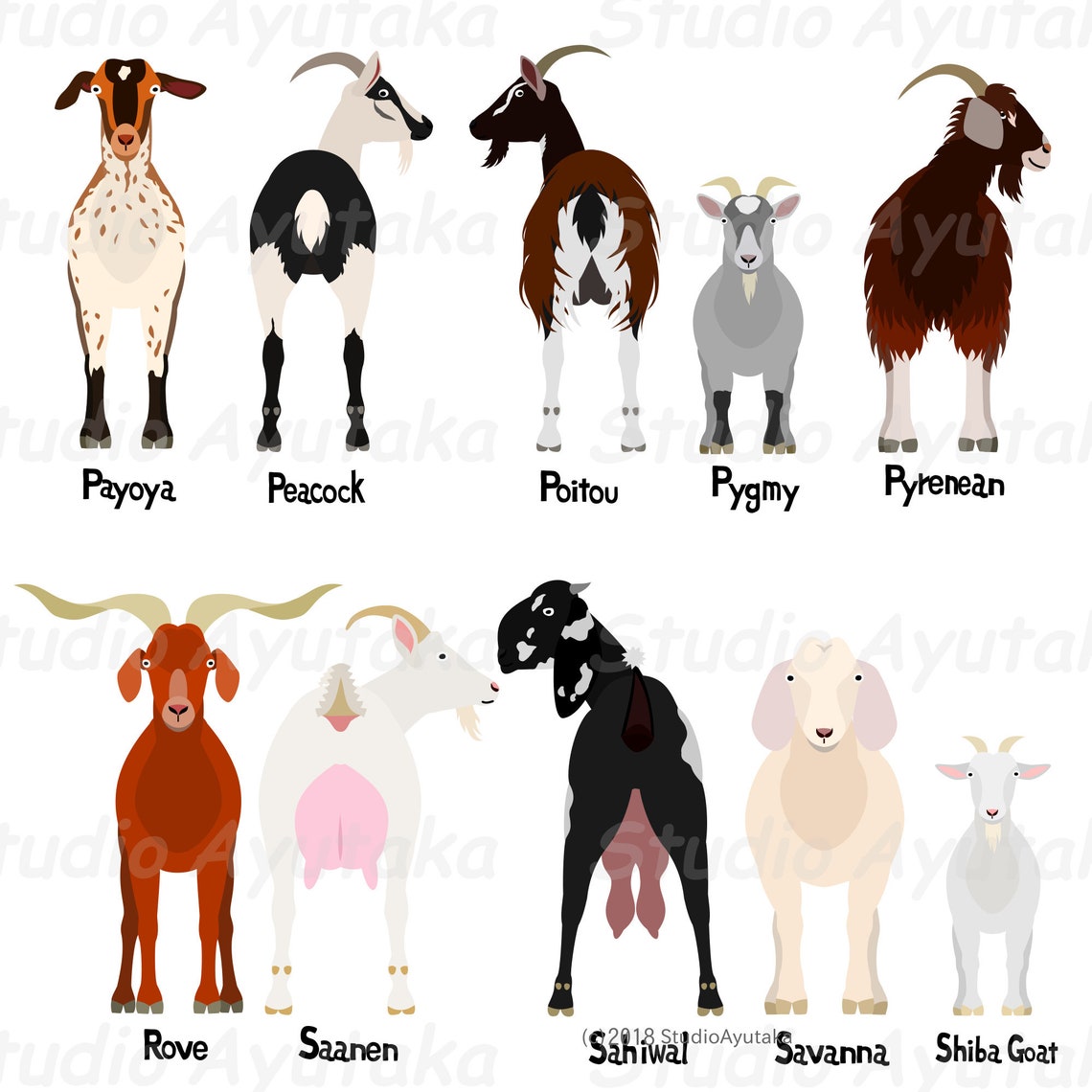Goat Breeds PS Bundle Ai Pdf Png - Etsy
