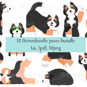 Pacote de 10 poses Bernedoodle, png, ai, pdf, feito à mão, ilustração, desenho digital