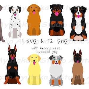 12 große Hunde sitzendes Set, SVG, PNG, Illustration, digitale Zeichnung, handgefertigt