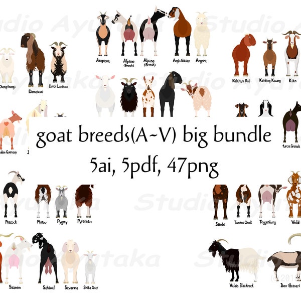 A~V 47 breeds goats big bundle, png, ai, pdf