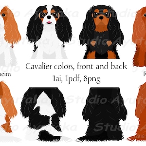 Cavalier hond kleurvariaties bundel, png, pdf, ai, illustratie, digitale tekening, handgemaakt