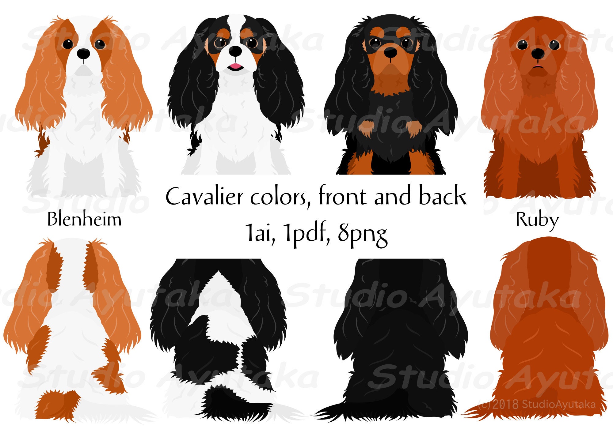Blenheim coloured cheap cavalier