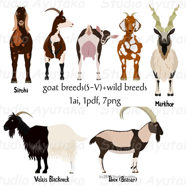 goat breeds S~V & wild breeds bundle, ai, pdf, png