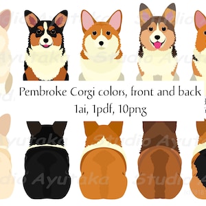 Pembroke Corgi Hund Farbvariationen Bundle, png, pdf, ai, Illustration, digitale Zeichnung, handgefertigt