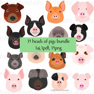 Pacote de 15 cabeças de porco, ai, pdf, png, ilustração, desenho digital, feito à mão