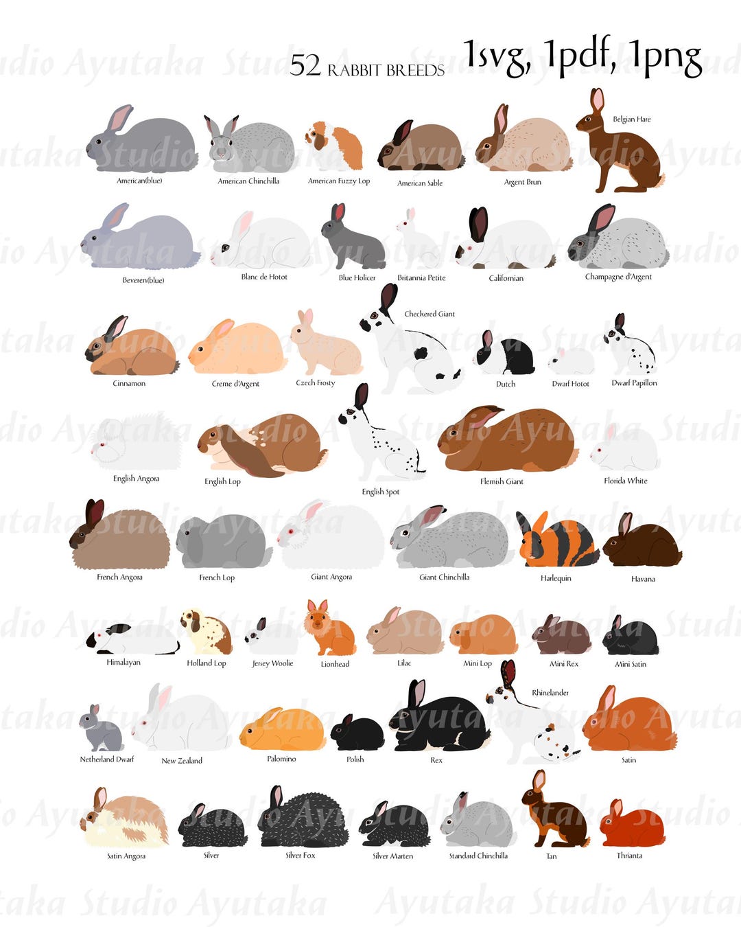 52 Rabbit Breeds Digital Chart, 16*20''printable Chart, Pdf, Png, Svg ...