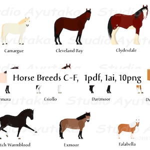 paquete de raza de caballo C~F, ai, pdf, png, ilustración, dibujo digital, hecho a mano