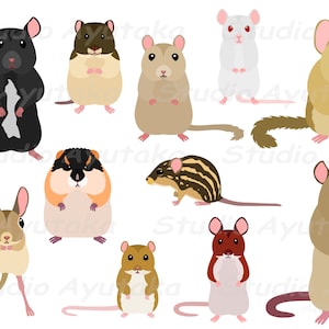 rats and mice bundle, ai, pdf, png image 2
