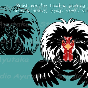 Polish chicken rooster peeking and head bundle,svg, png, ai, pdf, illustration, digital drawing, handmade