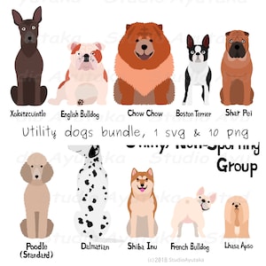 Paquete de perros utilitarios, svg, png, hecho a mano, ilustración, dibujo digital