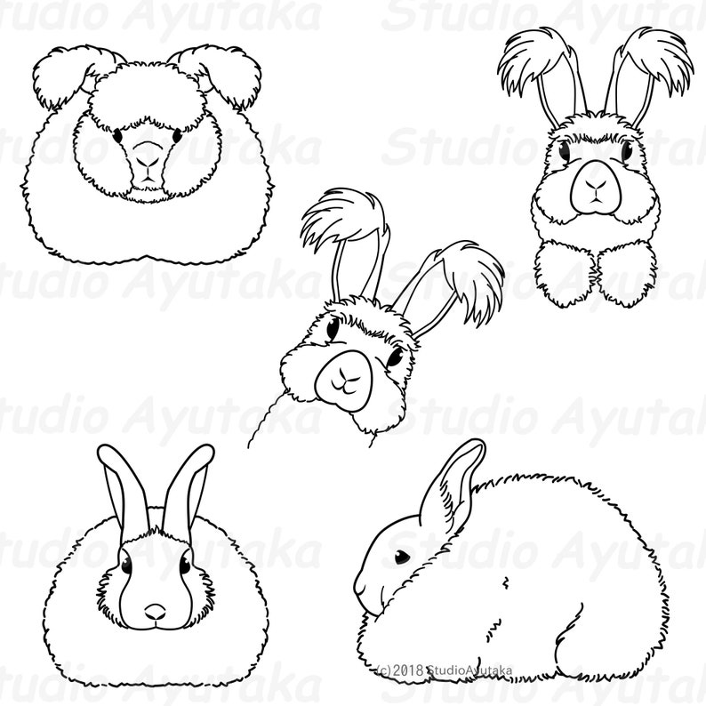 Angora Rabbit Line Art Bundle Svg Ai Pdf Png - Etsy