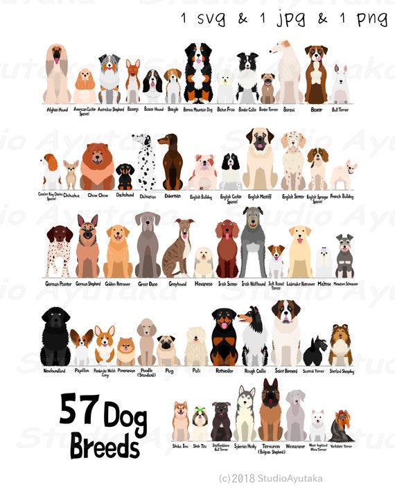 57 breeds of dog chart, svg, jpg, png, 16*20