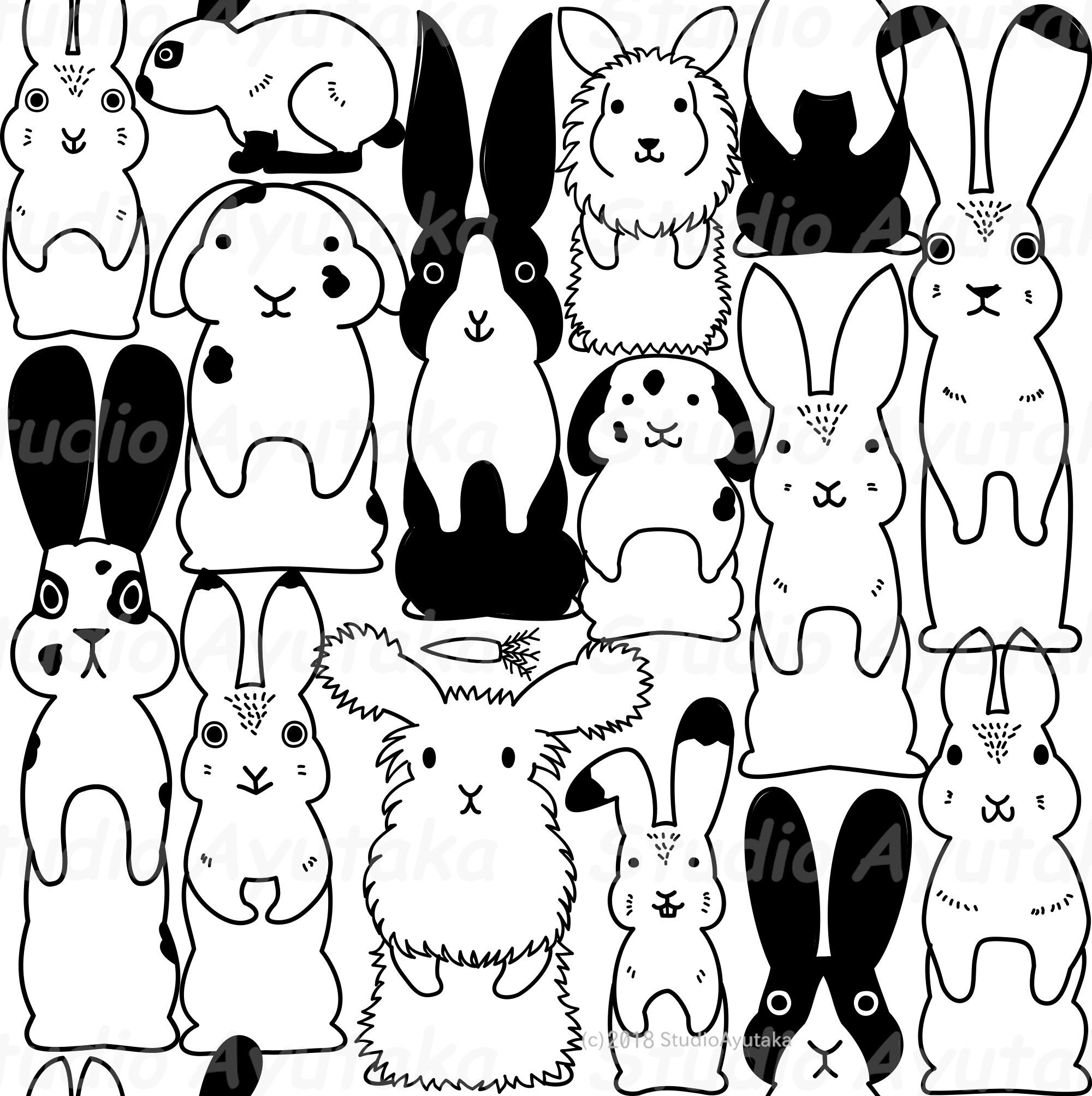 Pet Rabbits Black And White