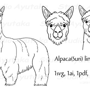 Alpaka(Suri) Line Art Design, SVG, Ai, PDF, PNG, Illustration, digitale Zeichnung, handgefertigt