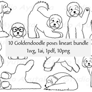10 Goldendoodle Posen Line Art Bundle, SVG, PNG, Ai, PDF, Illustration, digitale Zeichnung, handgefertigt
