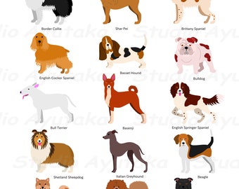 Medium dogs breeds , svg, png, jpg, 16*20''