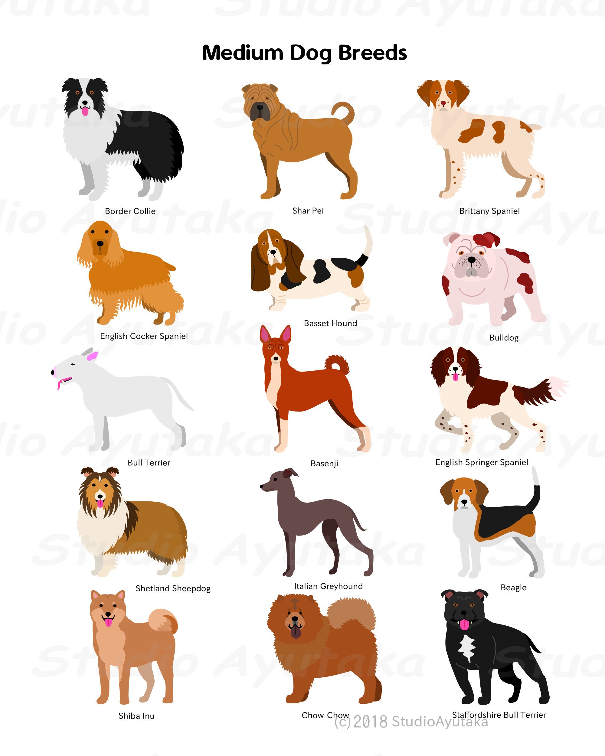 Dog breeds: Find a dog that matches your lifestyle