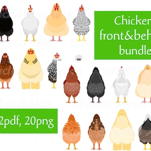 poulets de devant et derrière bundle, 2ai, 2pdf, 20png, illustration, dessin numérique, fait main