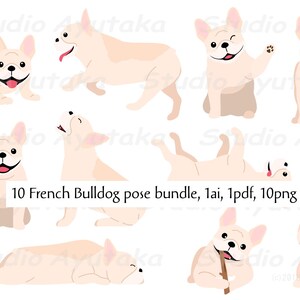 10 Posen der französischen Bulldogge, PNG, Ai, PDF, Illustration, digitale Zeichnung, handgefertigt